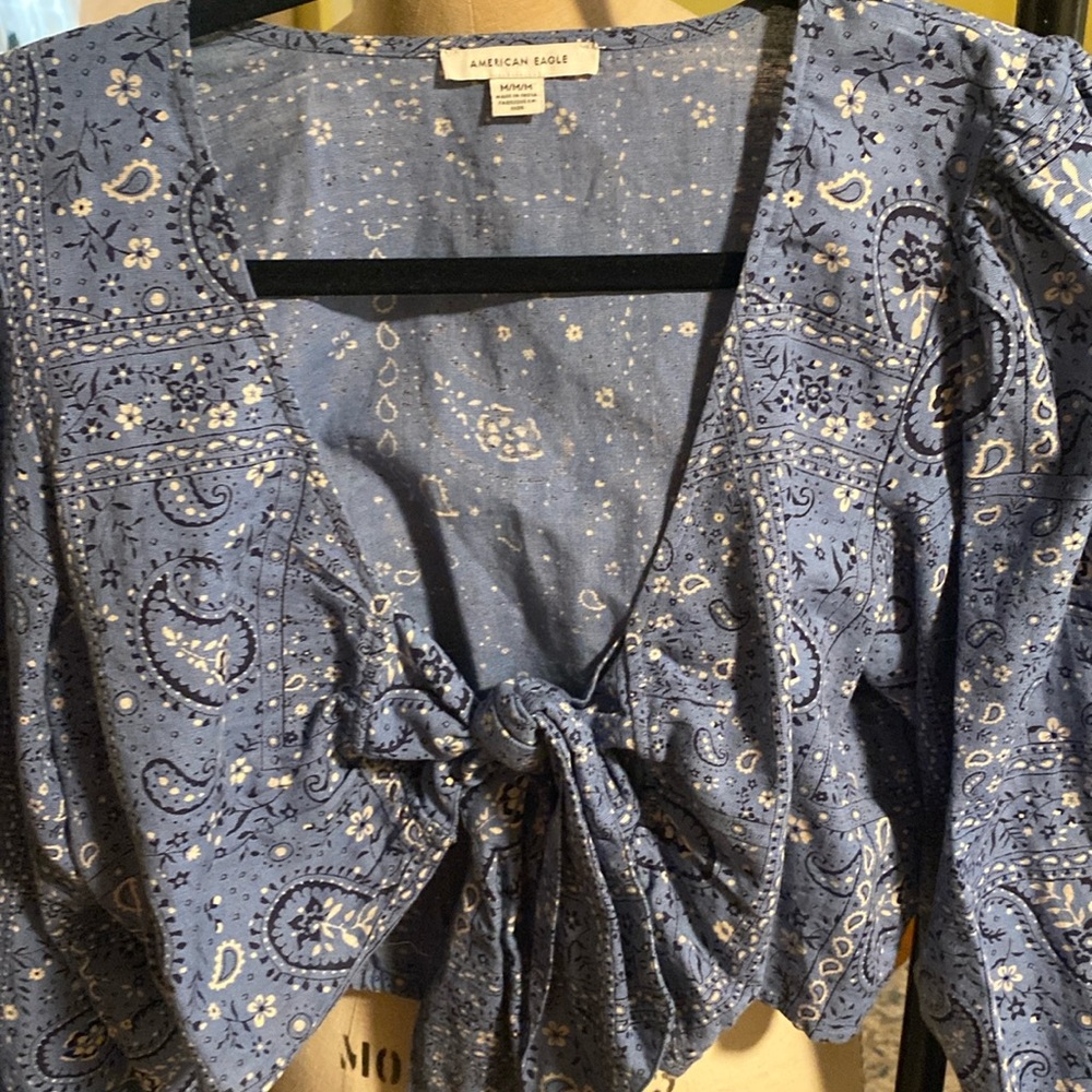 American Eagle Crop Top